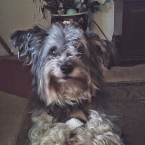 Meet your Posher, Joyce - Picture 1 of 1